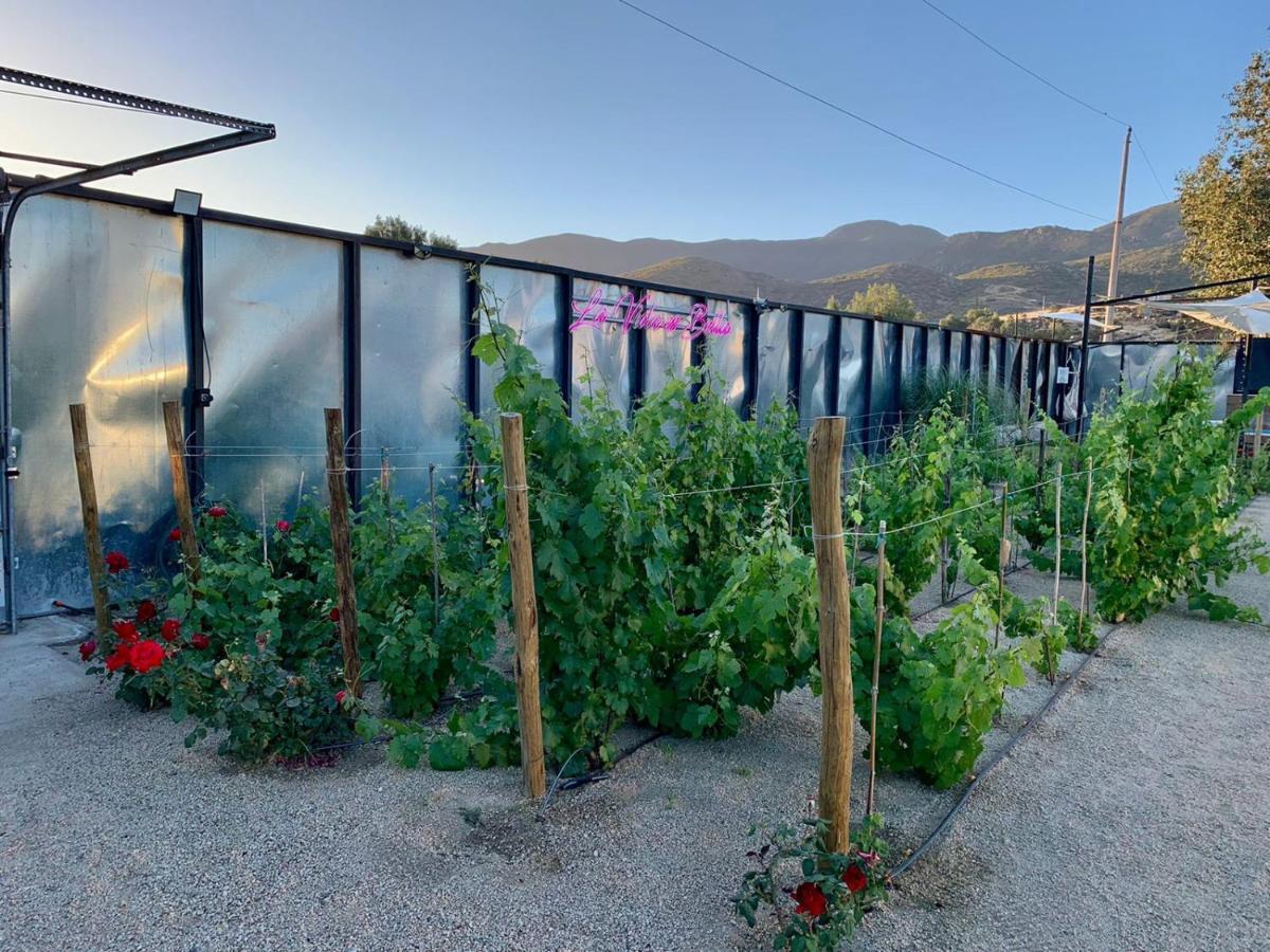 La Finca De Vane 瓜达鲁佩镇 外观 照片
