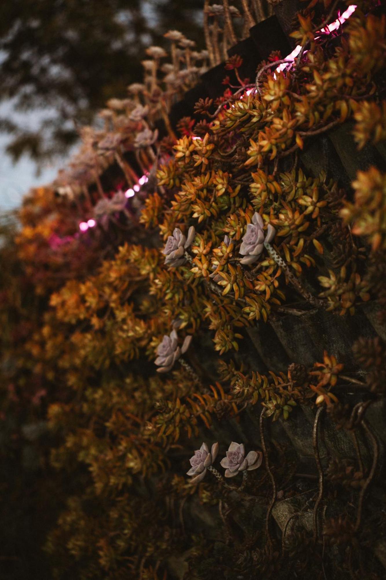 La Finca De Vane 瓜达鲁佩镇 外观 照片
